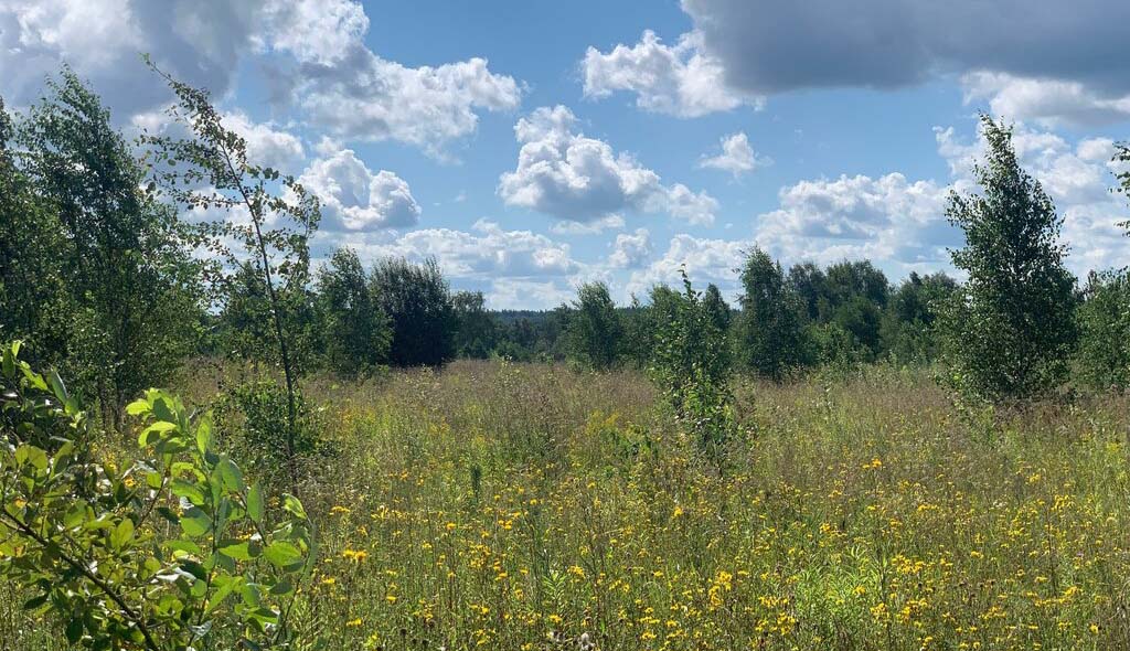 ЖК Апрелевка Клаб. август 2025