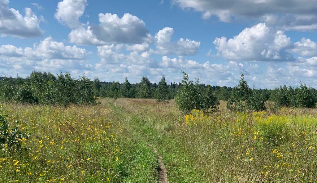 ЖК Апрелевка Клаб. август 2025