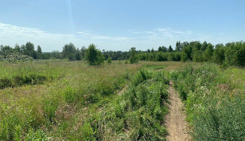 ЖК Апрелевка Клаб. август 2025