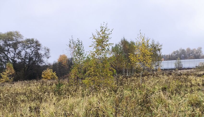 ЖК Апрелевка Клаб. октябрь 2025