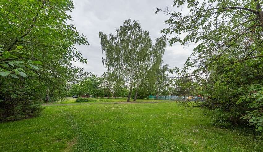 жк Внуково парк 4. июнь 2025