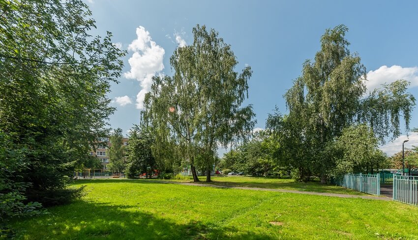 жк Внуково парк 4. сентябрь 2025