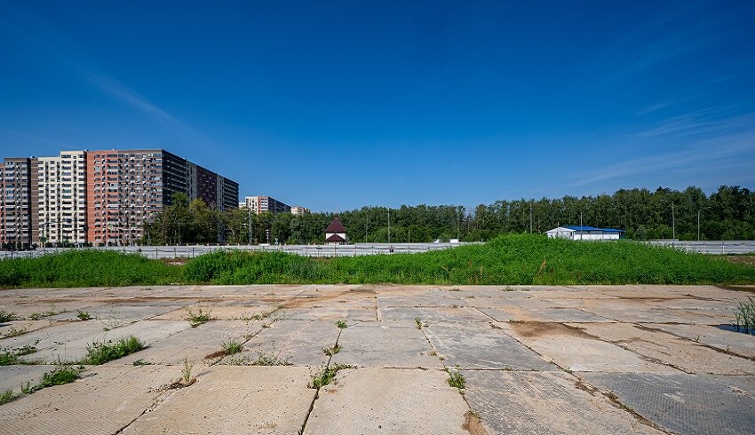 Новое Пушкино. август 2025