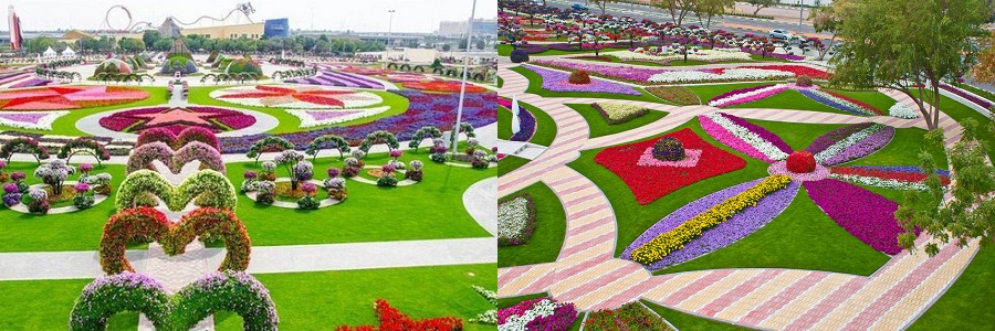 Dubai Miracle Garden2