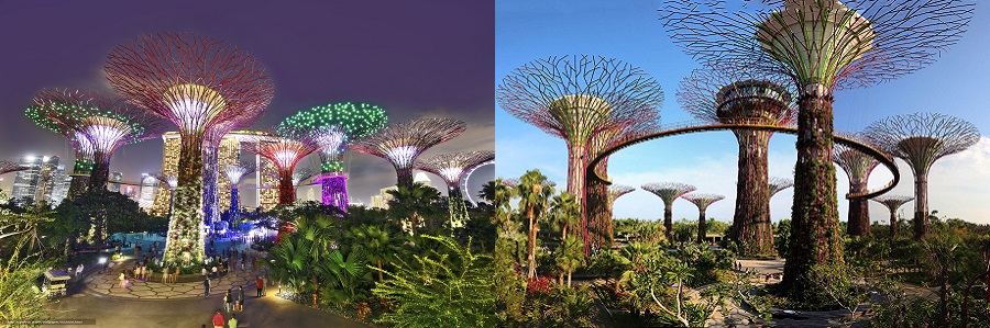 Gardens by the Bay2