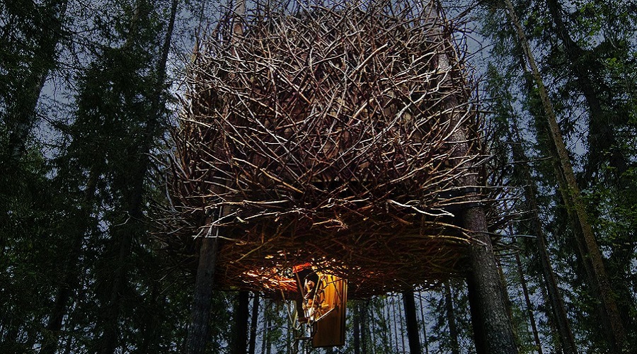Дом-гнездо на деревьях Tree Hotel Швеция