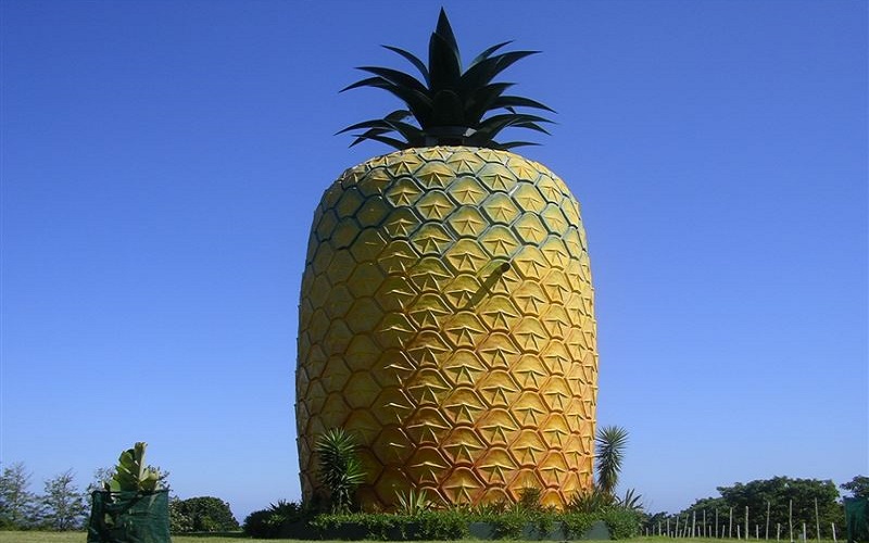 дом-ананас