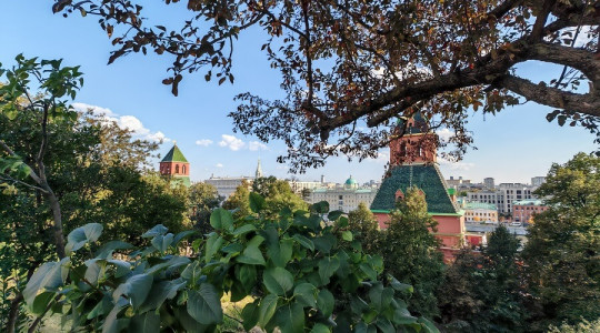 Почти 60% жилых комплексов столицы строят у парков